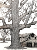 Black and white ink drawing of a large bare tree in front of a small rustic barn, with smaller trees in the background.