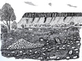 Black and white hand-drawn ink illustration depicting a rocky hillside landscape with trees, grass, scattered stones, and a pile of rocks in the foreground.