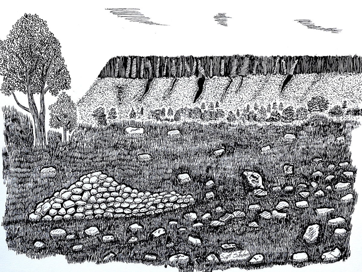 Black and white hand-drawn ink illustration depicting a rocky hillside landscape with trees, grass, scattered stones, and a pile of rocks in the foreground.