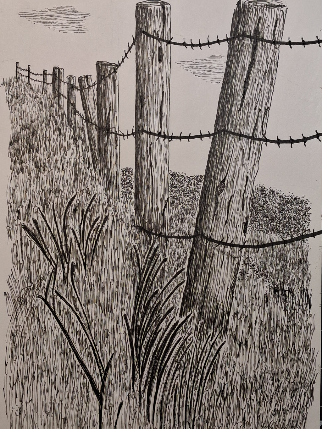 A black and white ink drawing of a rustic fence with wooden posts and barbed wire in a grassy field.
