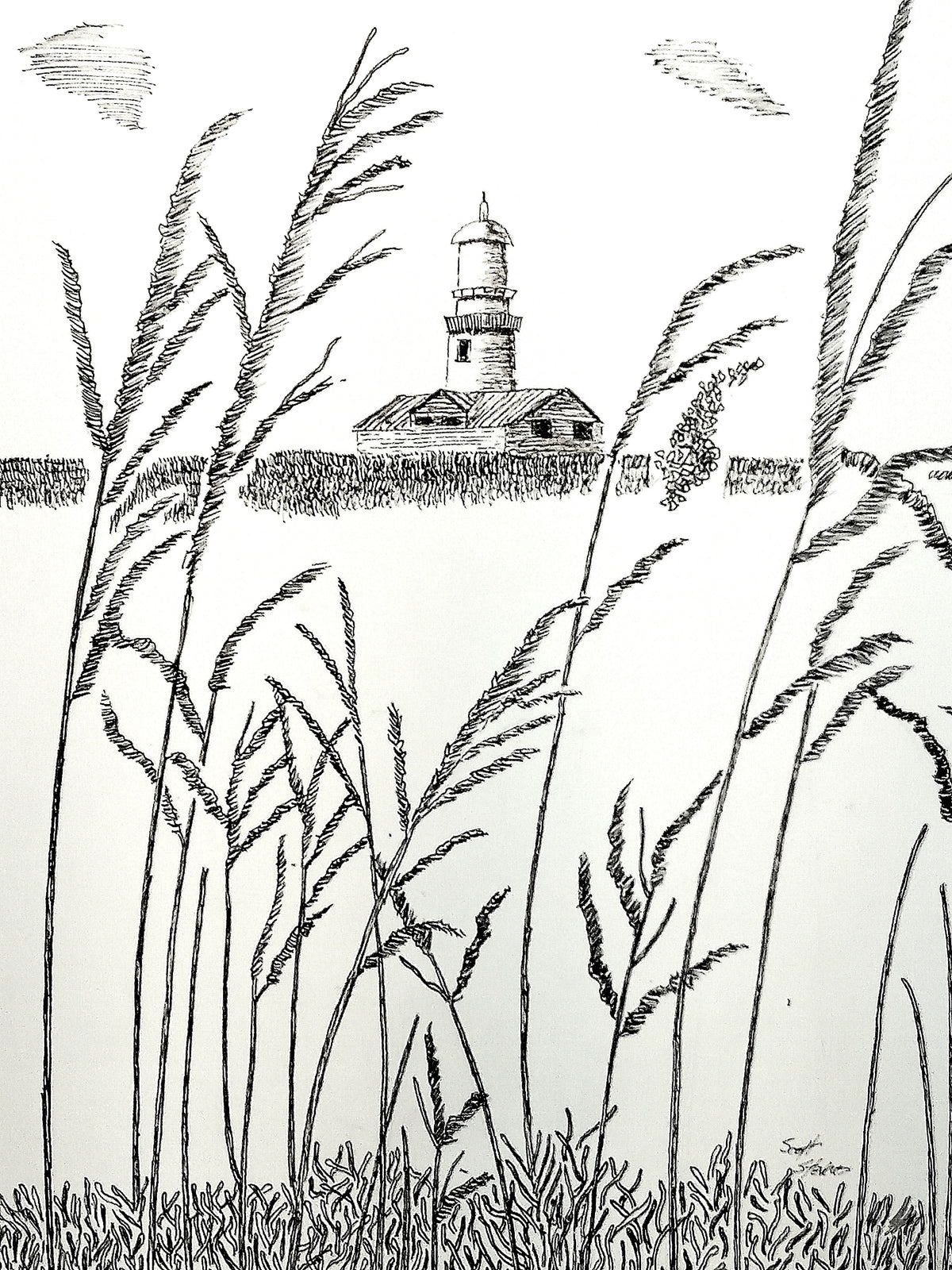 Black and white hand-crafted pen and ink depiction of a distant lighthouse as seen through reeds. 